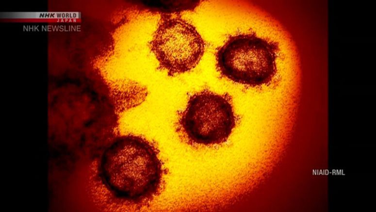 Tokyo reports 856 coronavirus cases on Tuesday