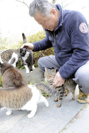 Tashirojima, Japan is home to some 200 cats who live alongside human residents