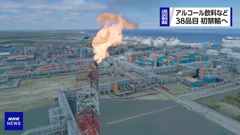 Japan to ban imports of some Russian products over Ukraine invasion