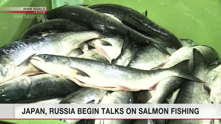 Japan, Russia begin talks on salmon fishing
