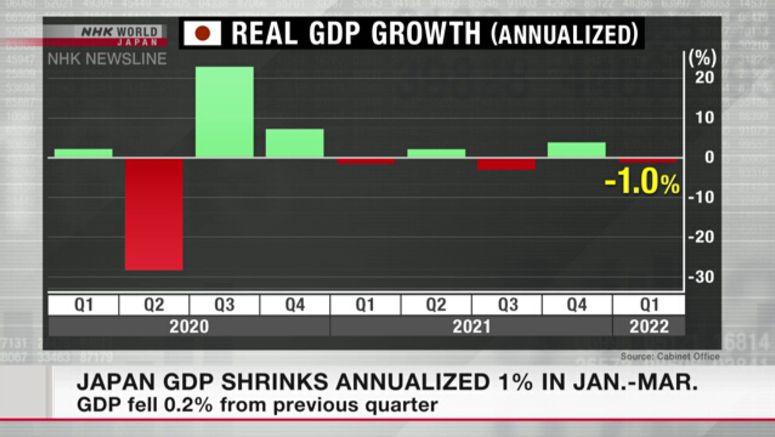 Japan's Jan.-Mar. GDP contracts annualized 1.0 percent