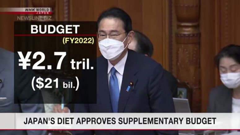Japan's Diet approves supplementary budget