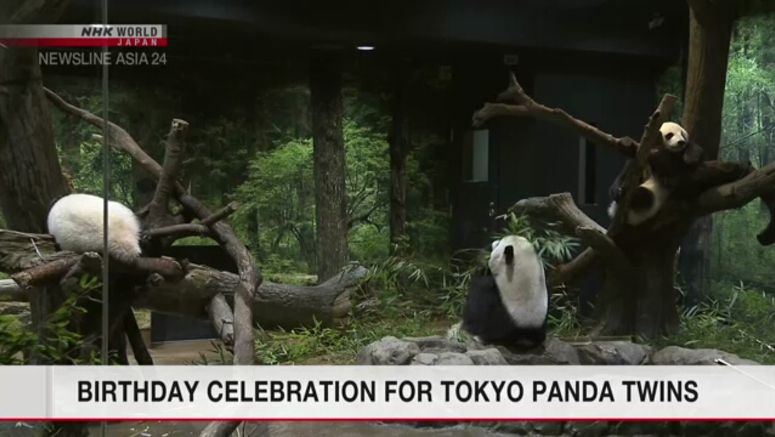 Birthday celebration for Tokyo panda twins