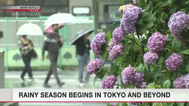 Rainy season begins in Tokyo, surrounding areas