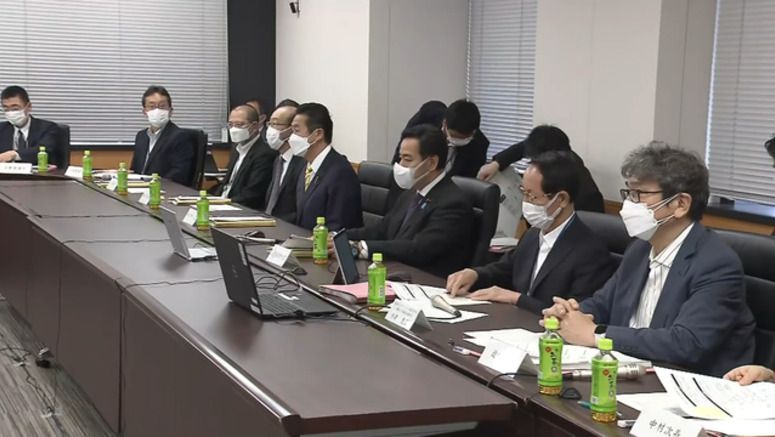 Govt. panel sums up problems with coronavirus response