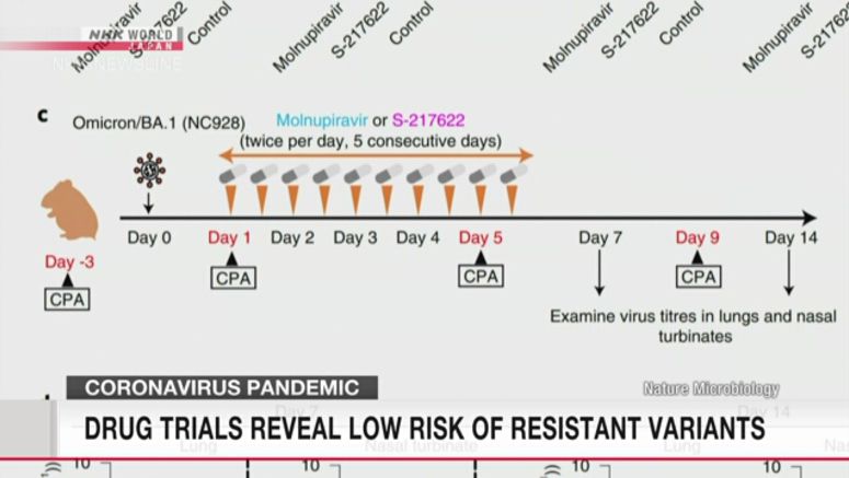 Researchers: COVID drugs carry low risk of causing drug-resistant variants