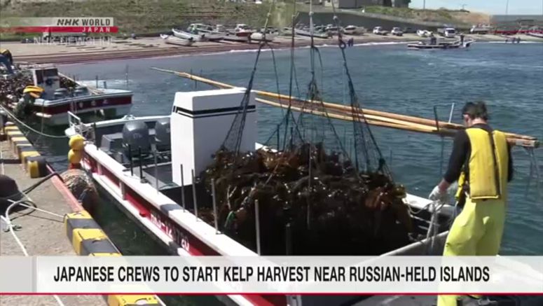 Japanese crews to start kelp harvest near Russian-controlled islands