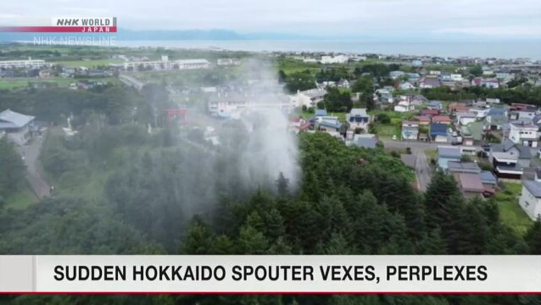 Column of water erupts from shrine grounds in Hokkaido