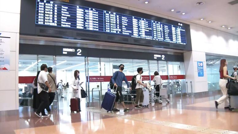 More travelers on domestic flights during summer holidays than last year