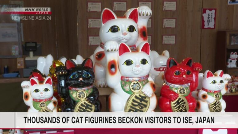 Thousands of cat figurines beckon visitors to Ise, Japan