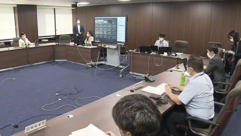 Experts concerned over possible simultaneous outbreak of flu, COVID
