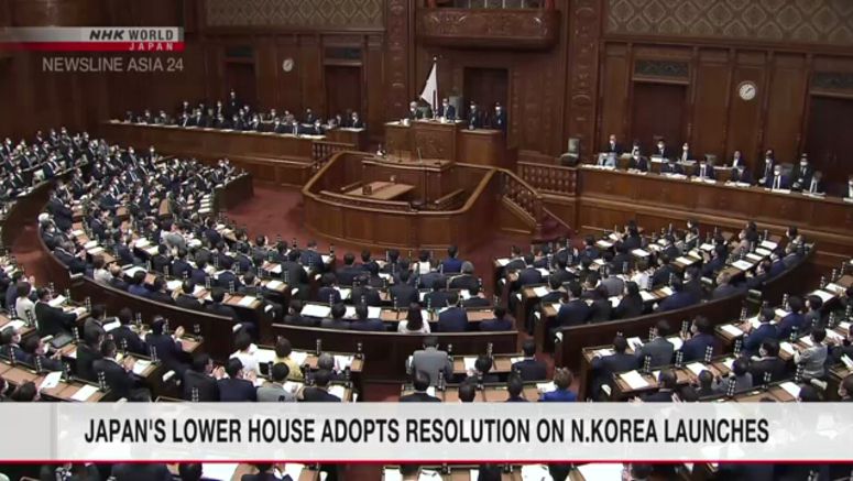 Japan's Lower House adopts resolution protesting N.Korea missile launch