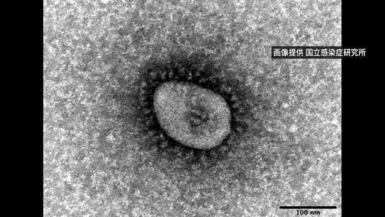 Health ministry confirms 2,922 coronavirus cases in Tokyo on Sunday
