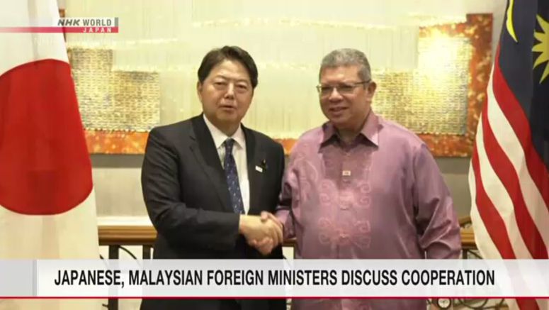 Foreign ministers of Japan, Malaysia hold talks