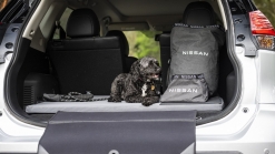 Nissan Australia Introduces Pet Accessories To Make Road Trips With Dogs Easier