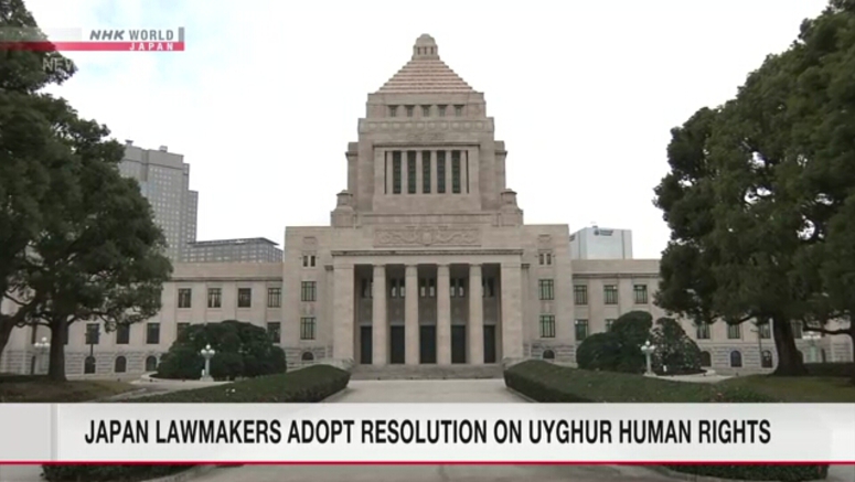 Japan's Upper House adopts resolution on Uyghur human rights